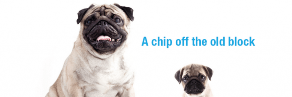 Human tone of voice in marketing