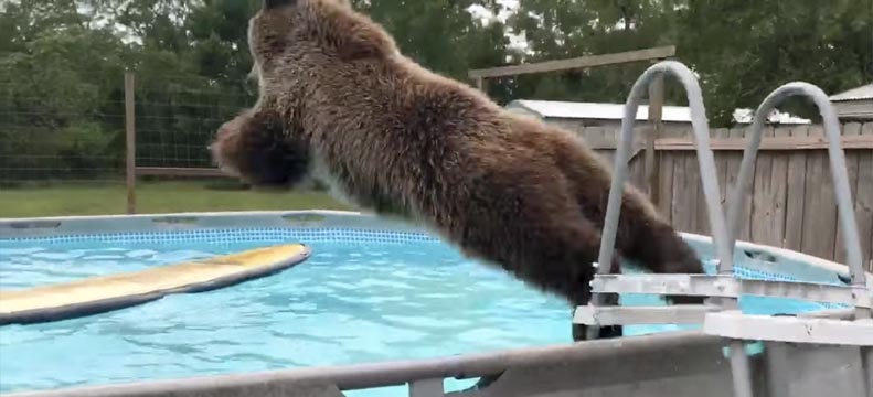 Tips for creating animated videos