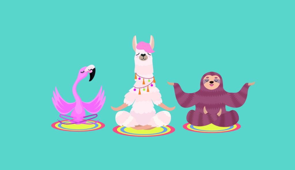 flamingo llama and sloth meditating for their wellbeing