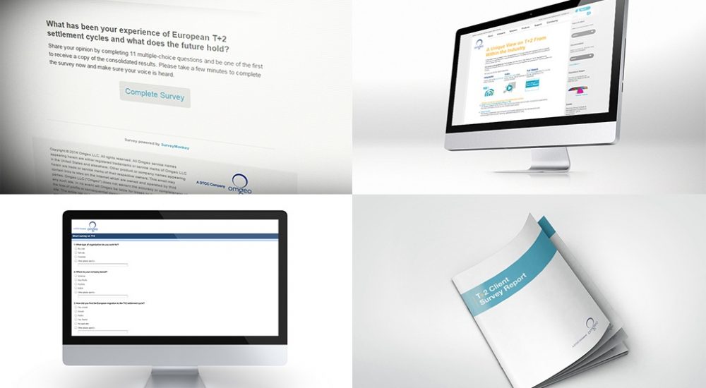 Survey and infographic design for financial services